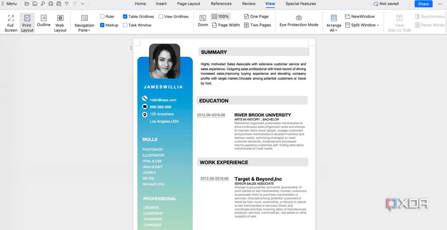 WPS Office Docs