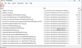 Screenshot of the search result of items beginning with a and ending with z