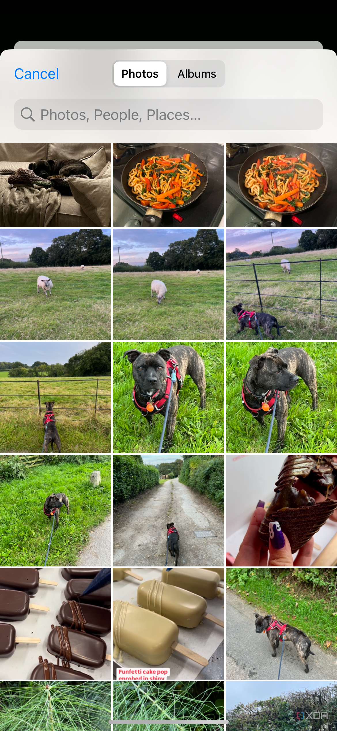 I don't use Photoshop, here are the 6 image editors I use instead