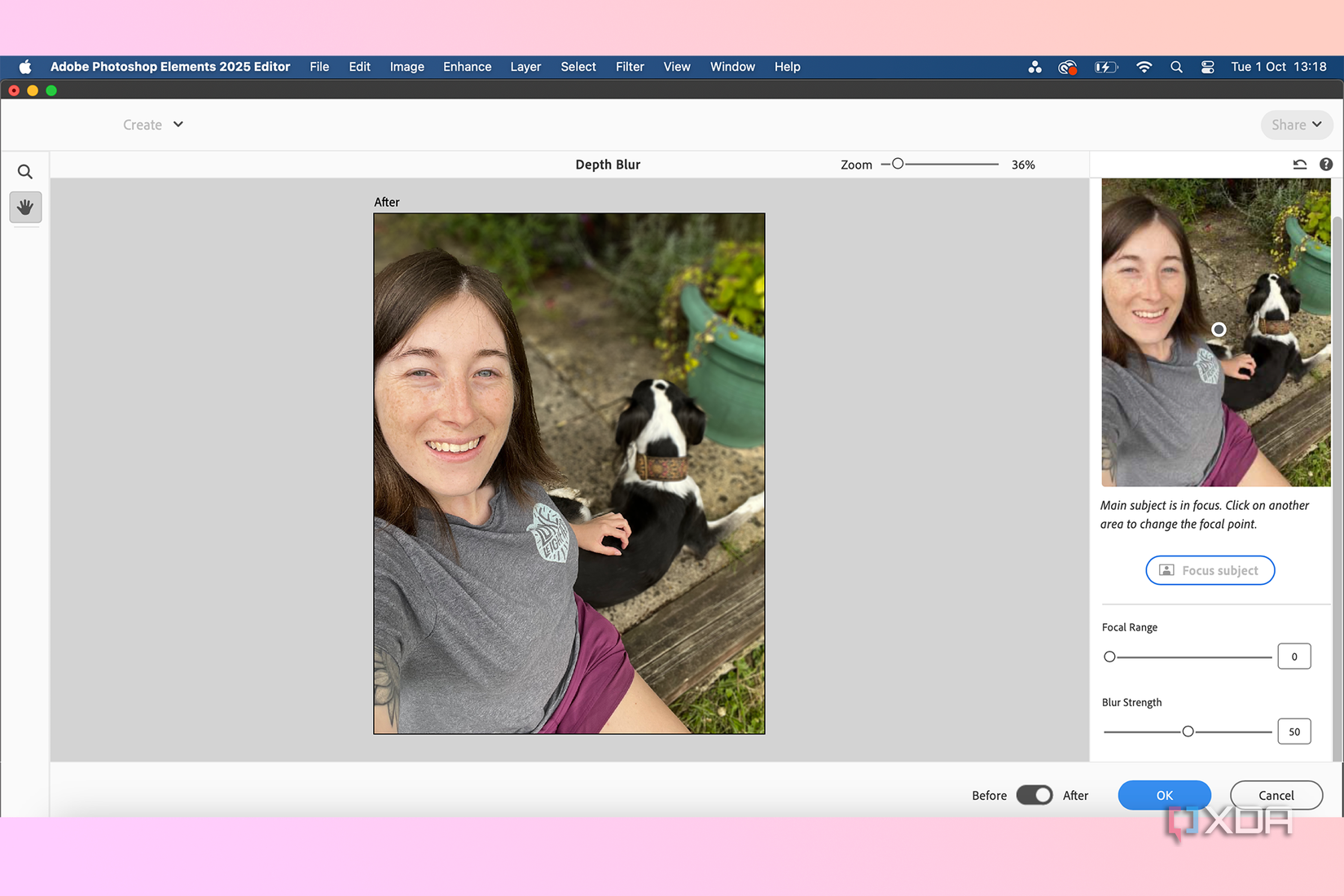 Adobe brings new AI tools, motion graphics, and color