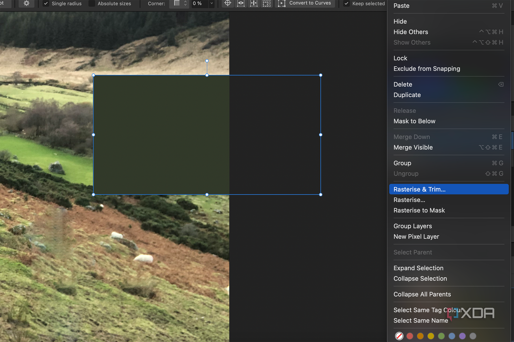 5 Photoshop and Lightroom alternatives that don't require a subscription