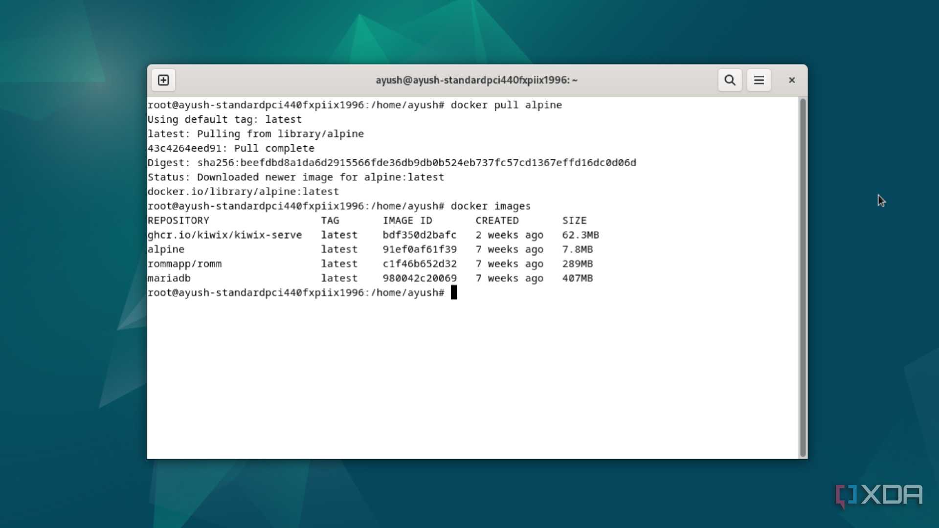 Running the docker images command in Debian