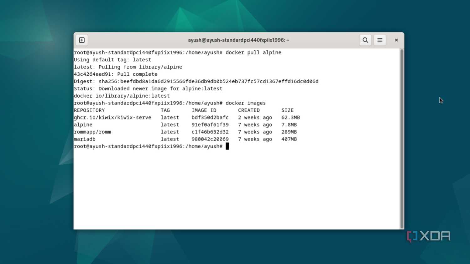 Running the docker images command in Debian
