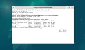 Running the docker images command in Debian