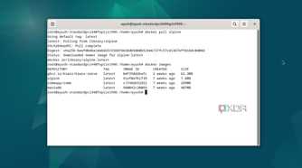 Running the docker images command in Debian