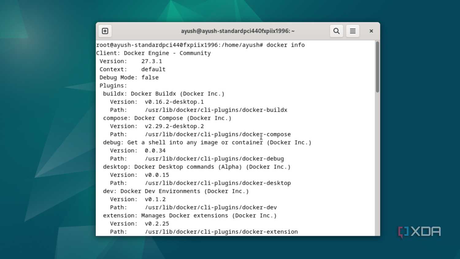 Running the docker info command in Debian