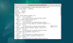 Running the docker info command in Debian