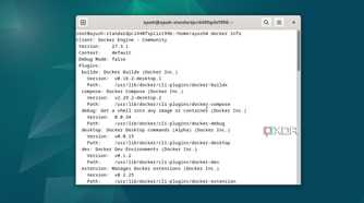 Running the docker info command in Debian