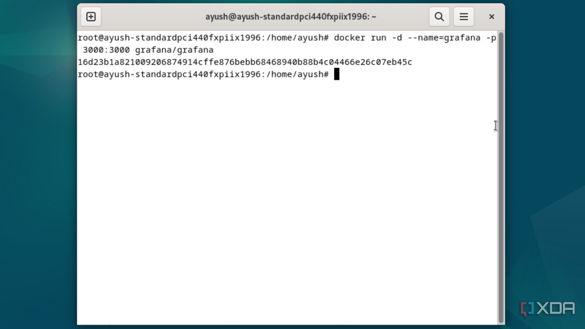 Executing the docker run command in Debian
