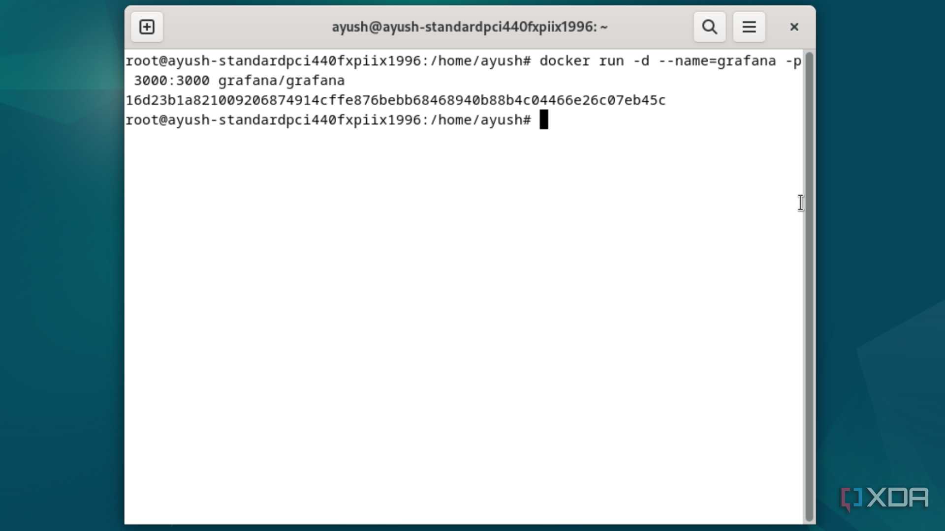 Executing the docker run command in Debian
