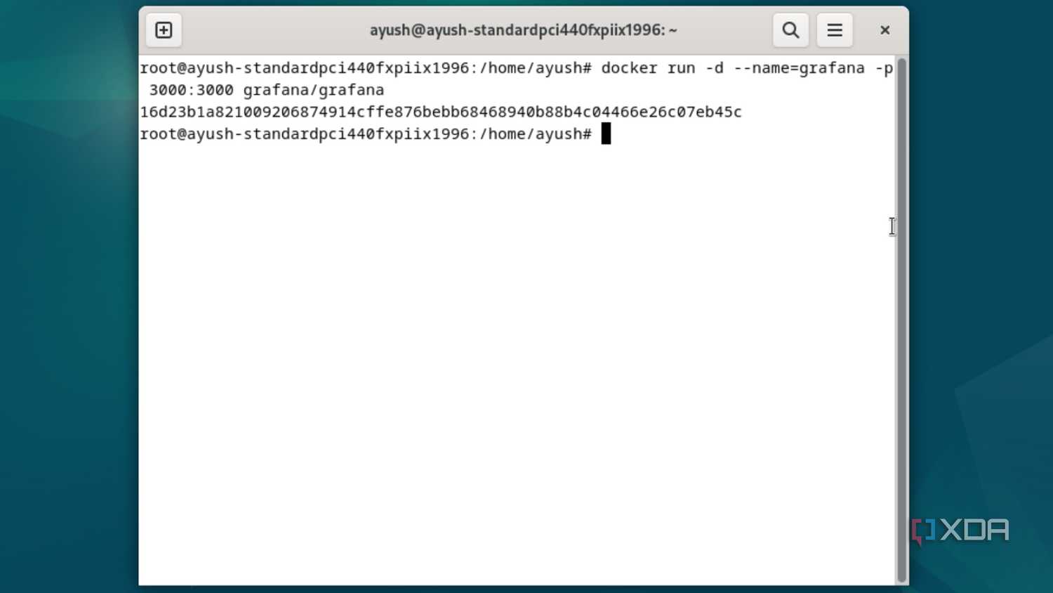 Executing the docker run command in Debian
