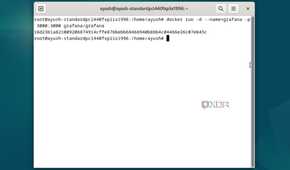 Executing the docker run command in Debian
