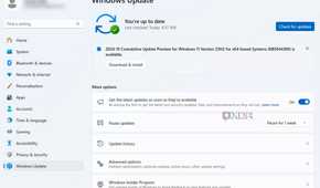 Enable automatic Windows updates
