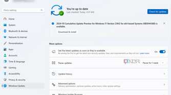 Enable automatic Windows updates