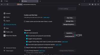 Firefox portable settings