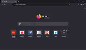 Screenshot of Firefox Portable user interface