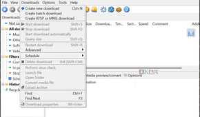 Free Download Manager downloads options