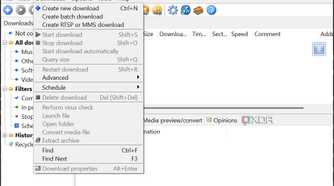 Free Download Manager downloads options