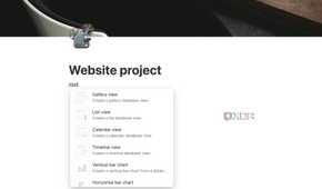 Notion databases