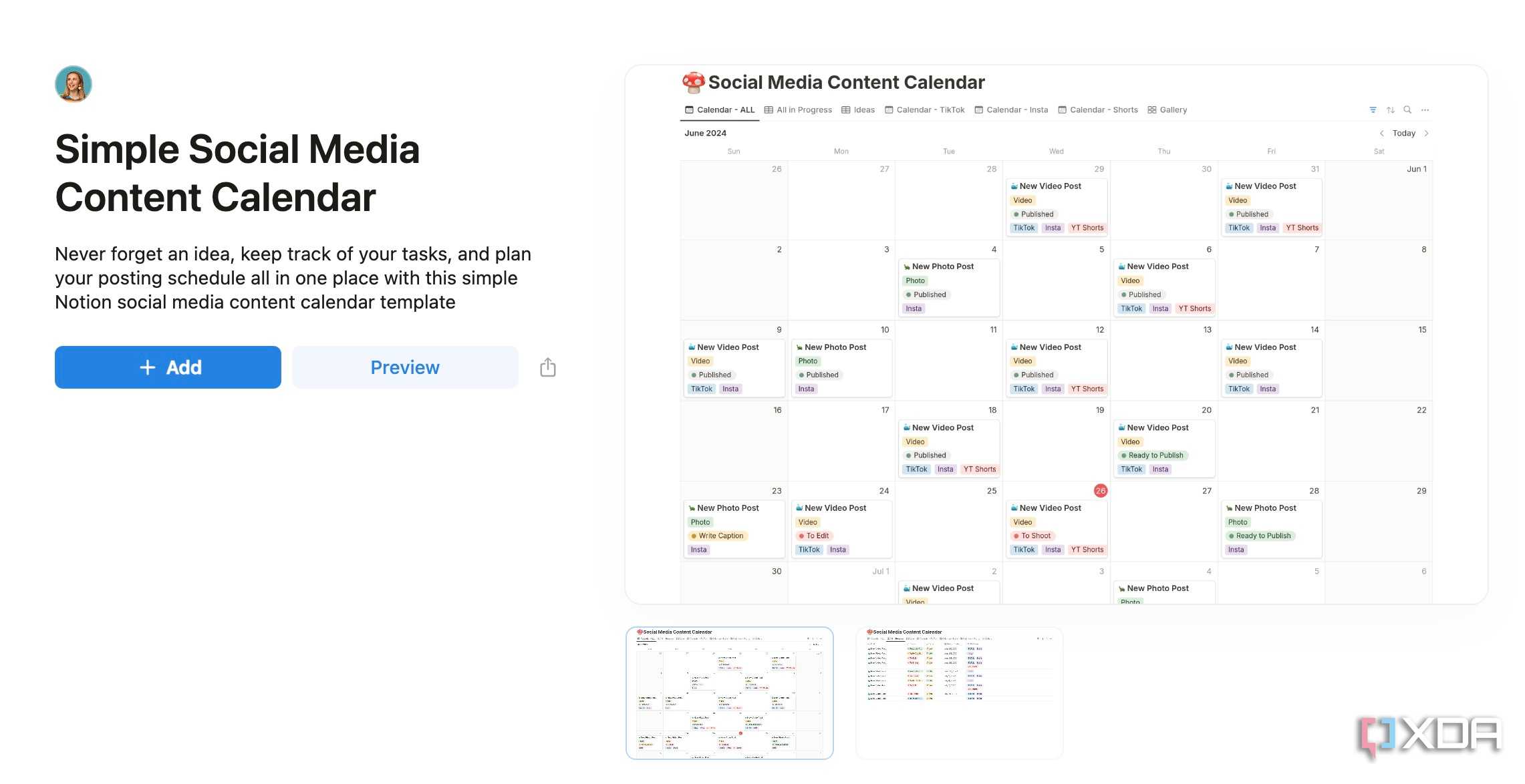 Notion social media calendar template