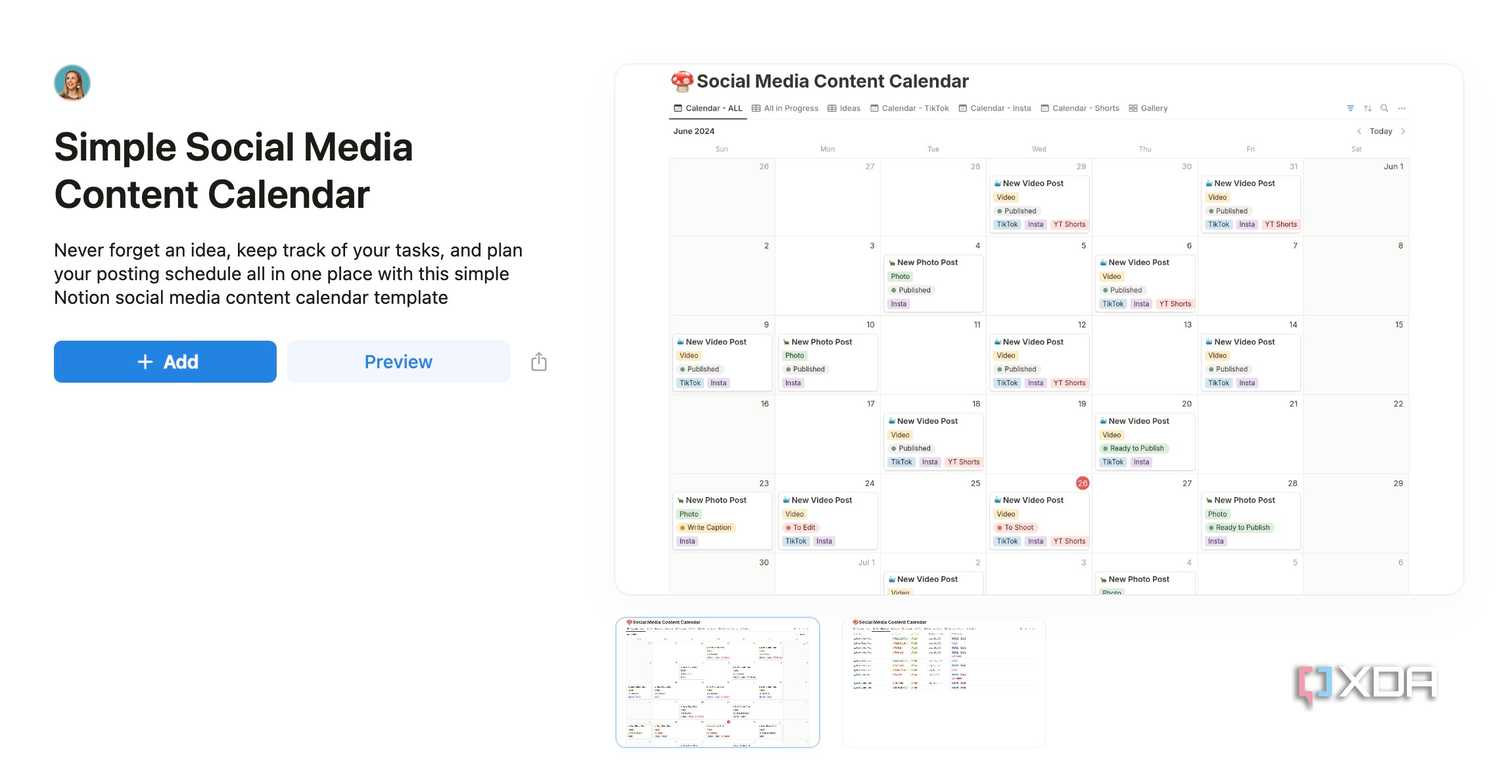 Notion social media calendar template