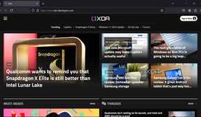 Launching website on Firefox portable