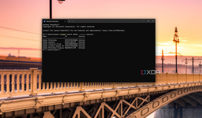 Screenshot of Windows Terminal showing search results for Adobe on the Microsoft Store