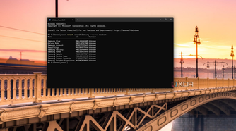 Screenshot of Windows Terminal showing search results for Samsung on the Microsoft Store