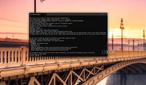 Screenshot of Windows Terminal showing the license agreement for installing an app from the Microsoft Store