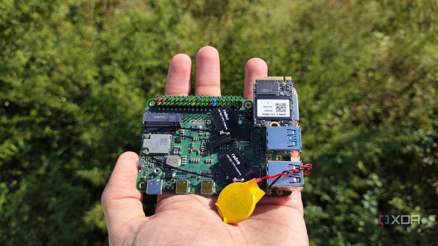 A person holding a Radxa X4 SBC