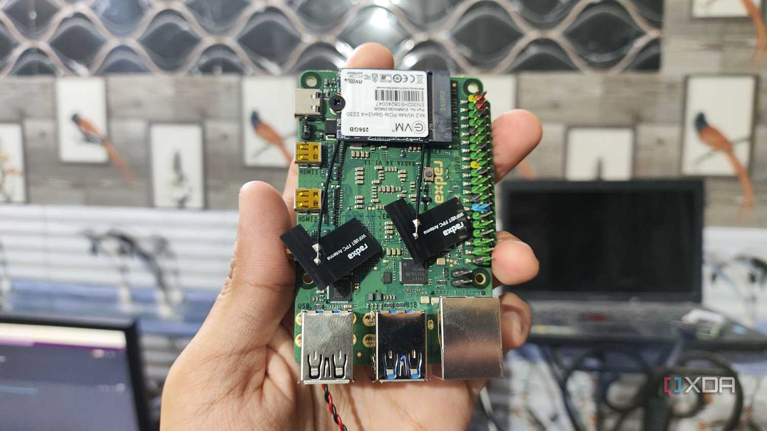 A person holding a Radxa X4 SBC