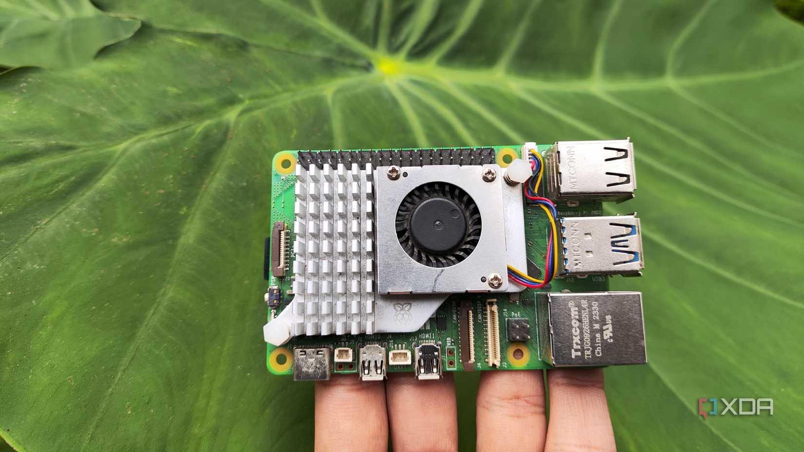 A person holding a Raspberry Pi 5