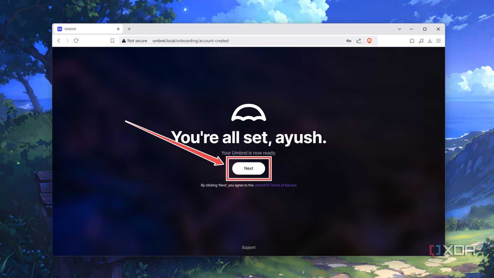 Accepting the terms and conditions inside the UmbrelOS web UI
