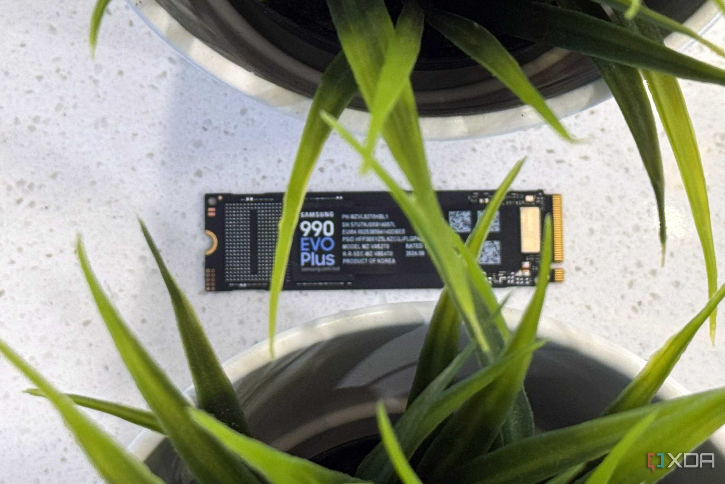 samsung 990 evo plus ssd with two plants