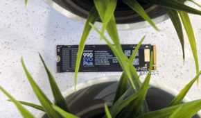 samsung 990 evo plus ssd with two plants