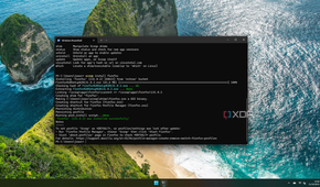 Screenshot of Windows Terminal after installing an app with the Scoop package manager