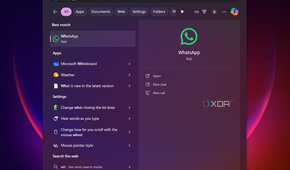 Search categories on Windows search