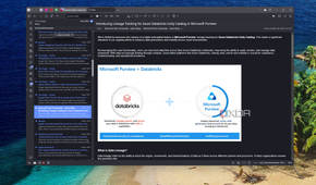 Screenshot of Vivaldis feeds feature displaying an article
