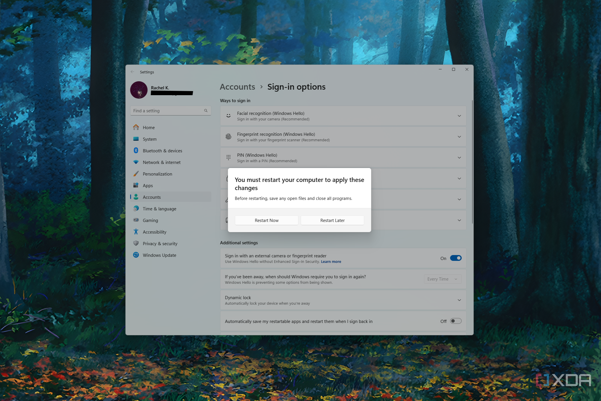 Windows Hello external