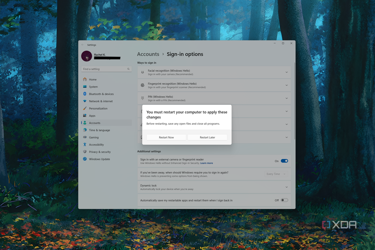 Windows Hello external