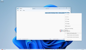 Using Right to Left (RTL) in Windows Notepad