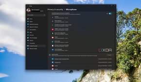 Screenshot of Windows 11 privacy settings showing desktop apps that have accessed the microphone