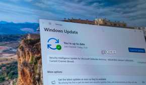 The Windows Update page on Windows 11
