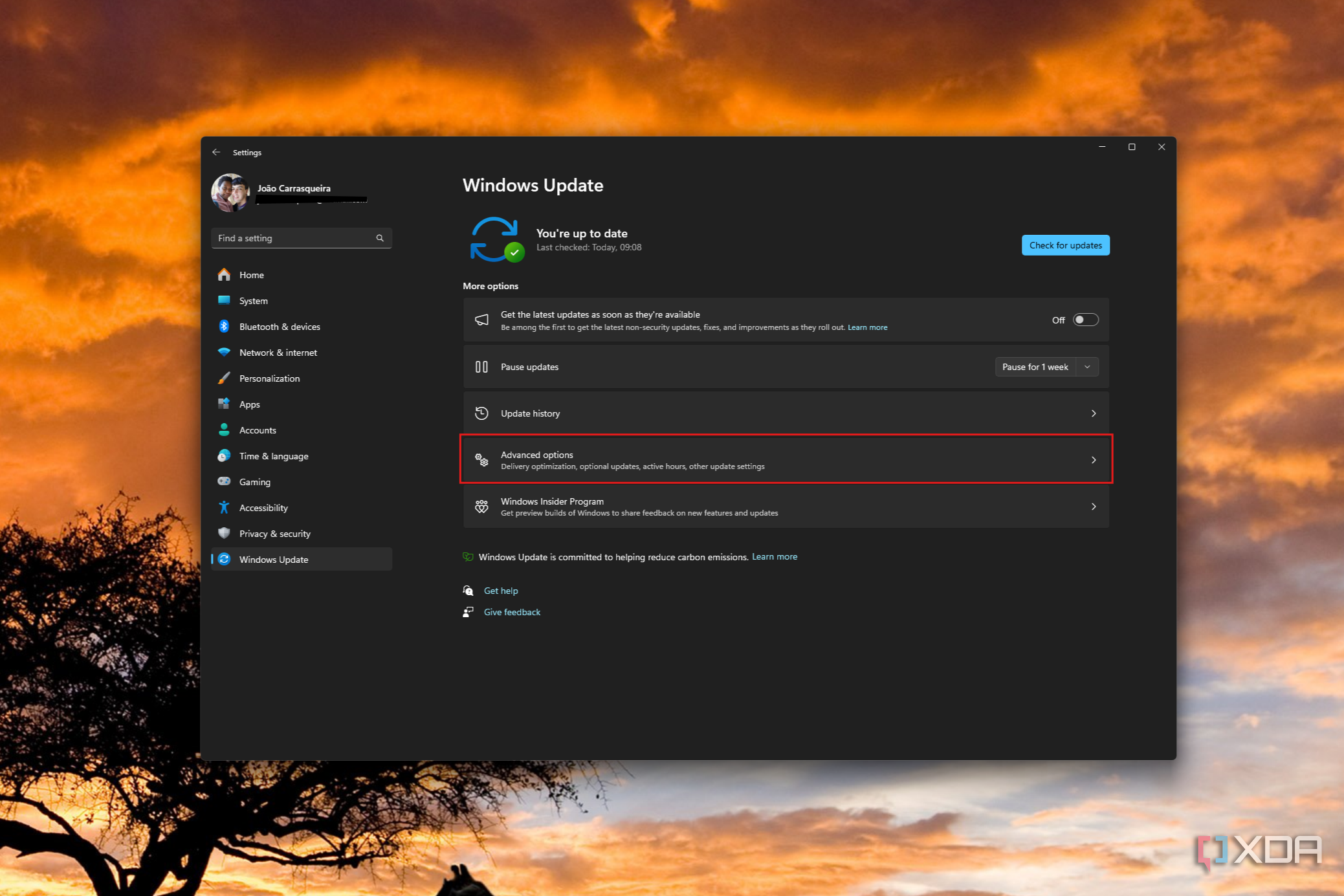 Screenshot of Windows Update settings with the Advanced options button highlighted