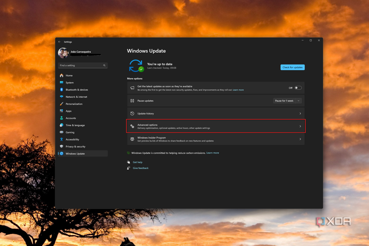 Screenshot of Windows Update settings with the Advanced options button highlighted