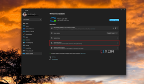Screenshot of Windows Update settings with the Advanced options button highlighted