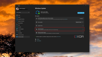 Screenshot of Windows Update settings with the Advanced options button highlighted