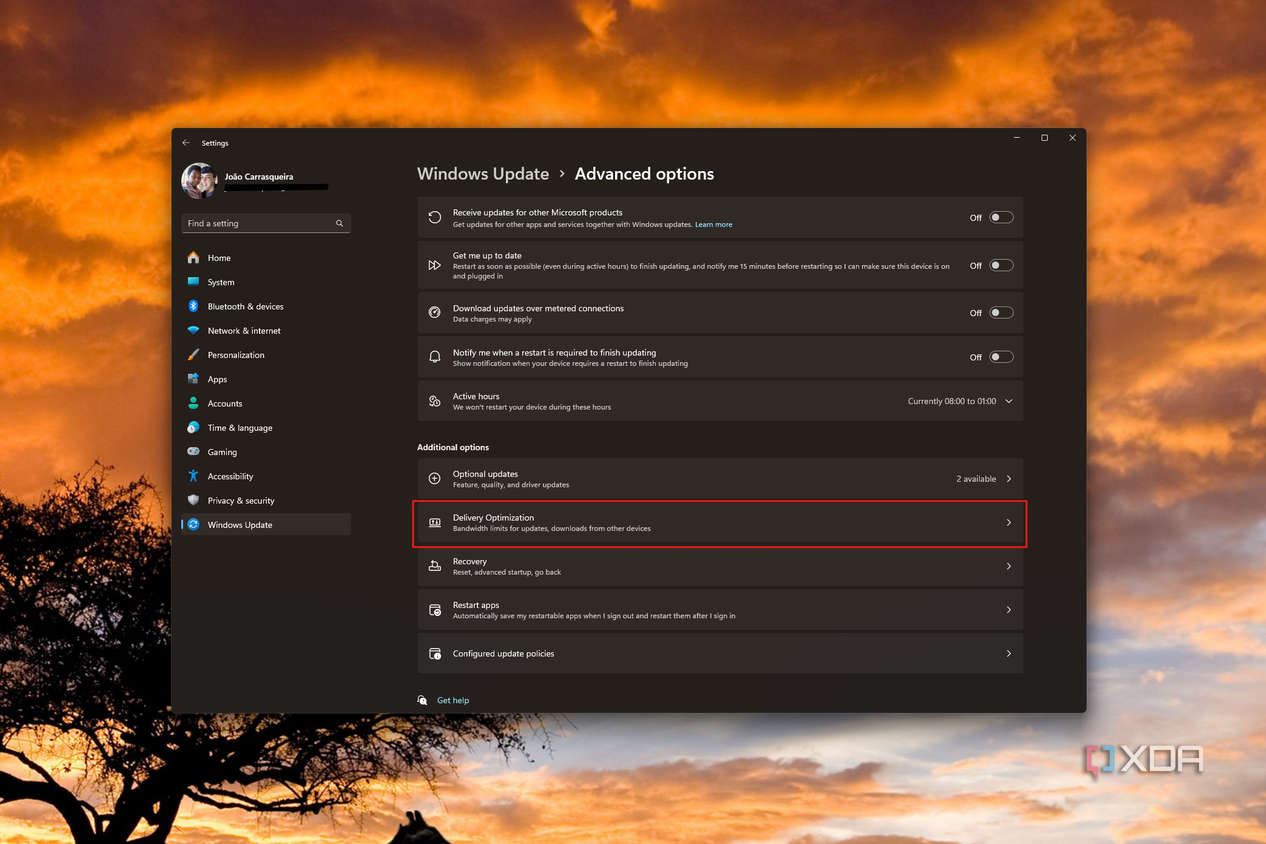 Screenshot of advanced options for Windows Update with the Delivery Optimization button highlighted
