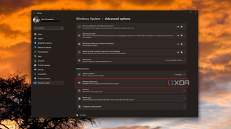Screenshot of advanced options for Windows Update with the Delivery Optimization button highlighted