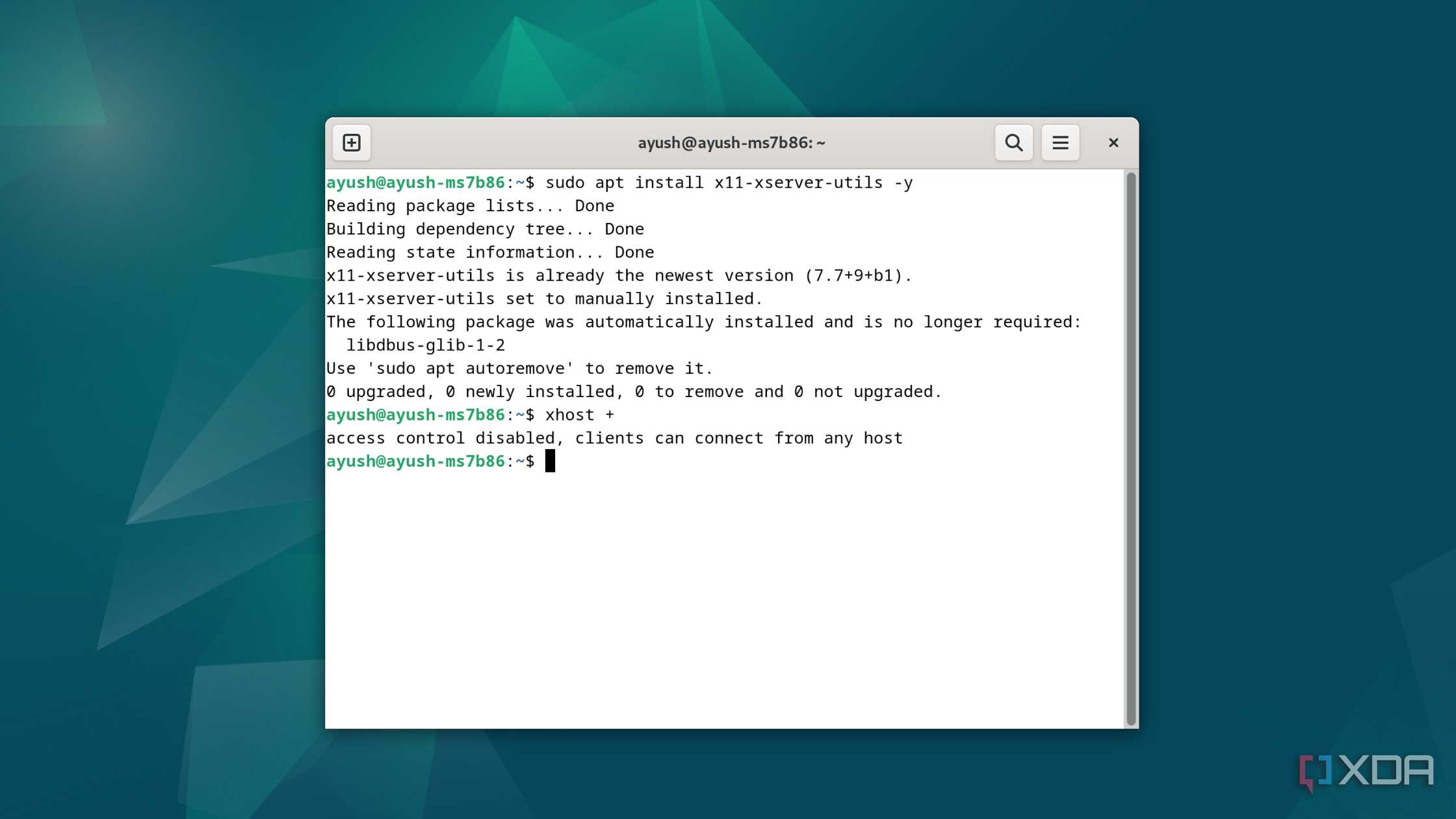 Running the xhost + command in Debian